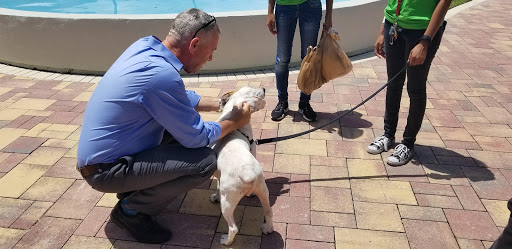 Title Company «Nationwide Title Clearing», reviews and photos