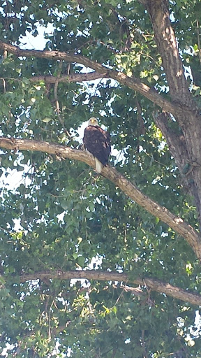 Golf Course «Edinburgh Golf Course», reviews and photos, 8700 Edinbrook Crossing, Brooklyn Park, MN 55443, USA