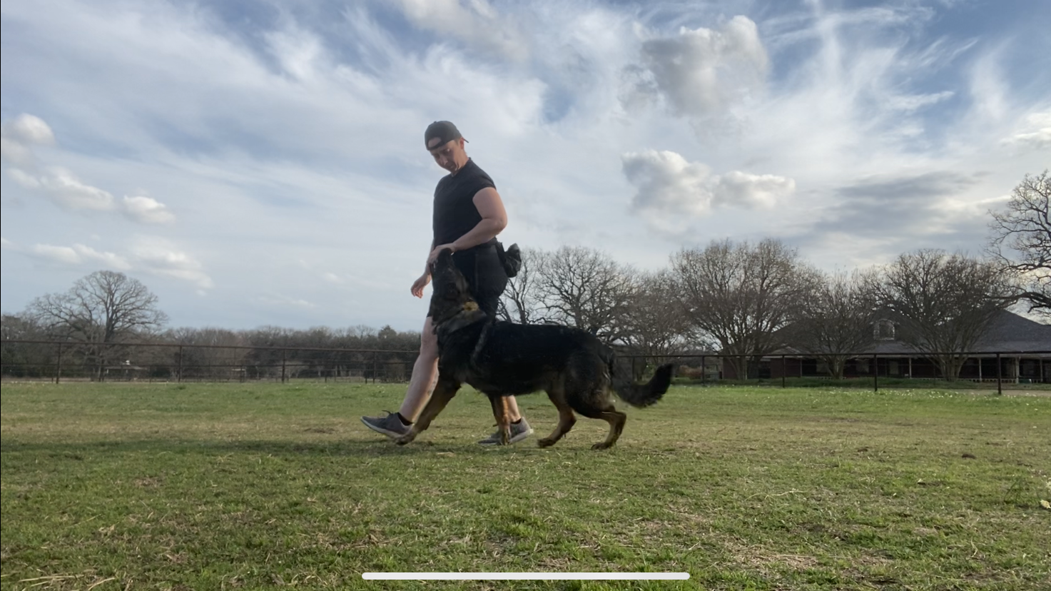 Emberwick Ranch Pet Training and more