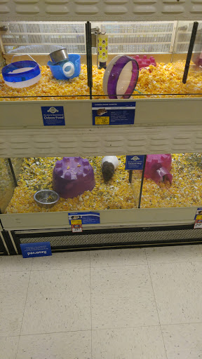 Pet Supply Store «PetSmart», reviews and photos, 11331 Causeway Blvd, Brandon, FL 33511, USA