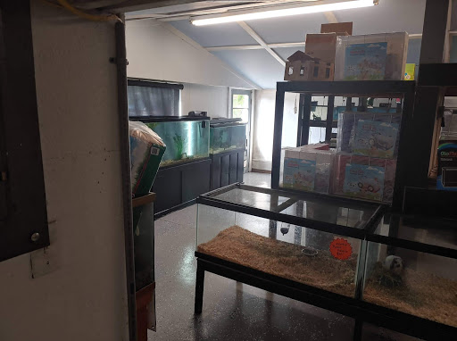 Pet Supply Store «Lazy Creek Discount Pet Food & Supplies», reviews and photos, 351 E Church St, Leesville, SC 29070, USA