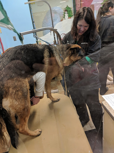 Pet Supply Store «PetSmart», reviews and photos, 2544 Crossing Cir, Traverse City, MI 49684, USA