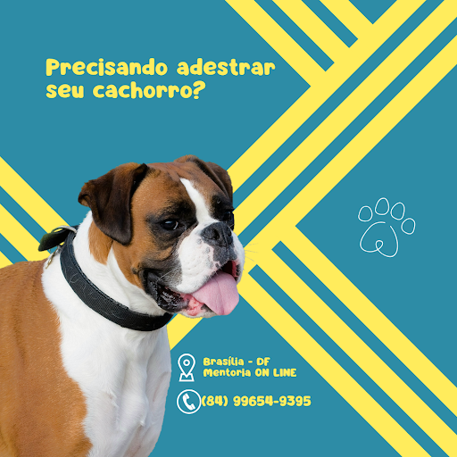 Logo da empresa - Doctadog
