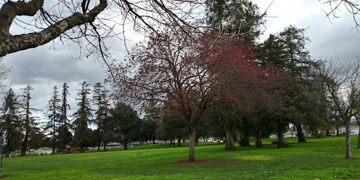 Park «Paul Moore Park», reviews and photos, 1421 Hillsdale Ave, San Jose, CA 95118, USA