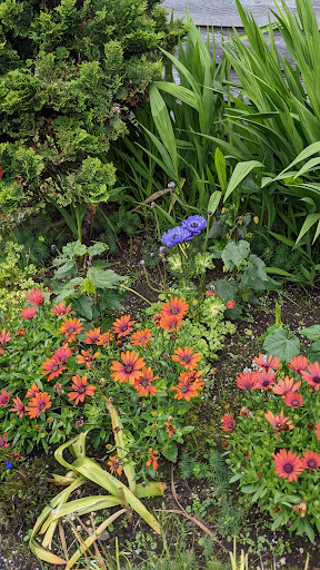 Quilt Shop «center diamond», reviews and photos, 1065 S Hemlock St, Cannon Beach, OR 97110, USA