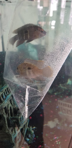 Aquarium «Aquatica», reviews and photos, 800 Clanton Rd H, Charlotte, NC 28117, USA