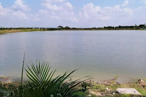 Bhunia Pond Bio-Diversity Park image