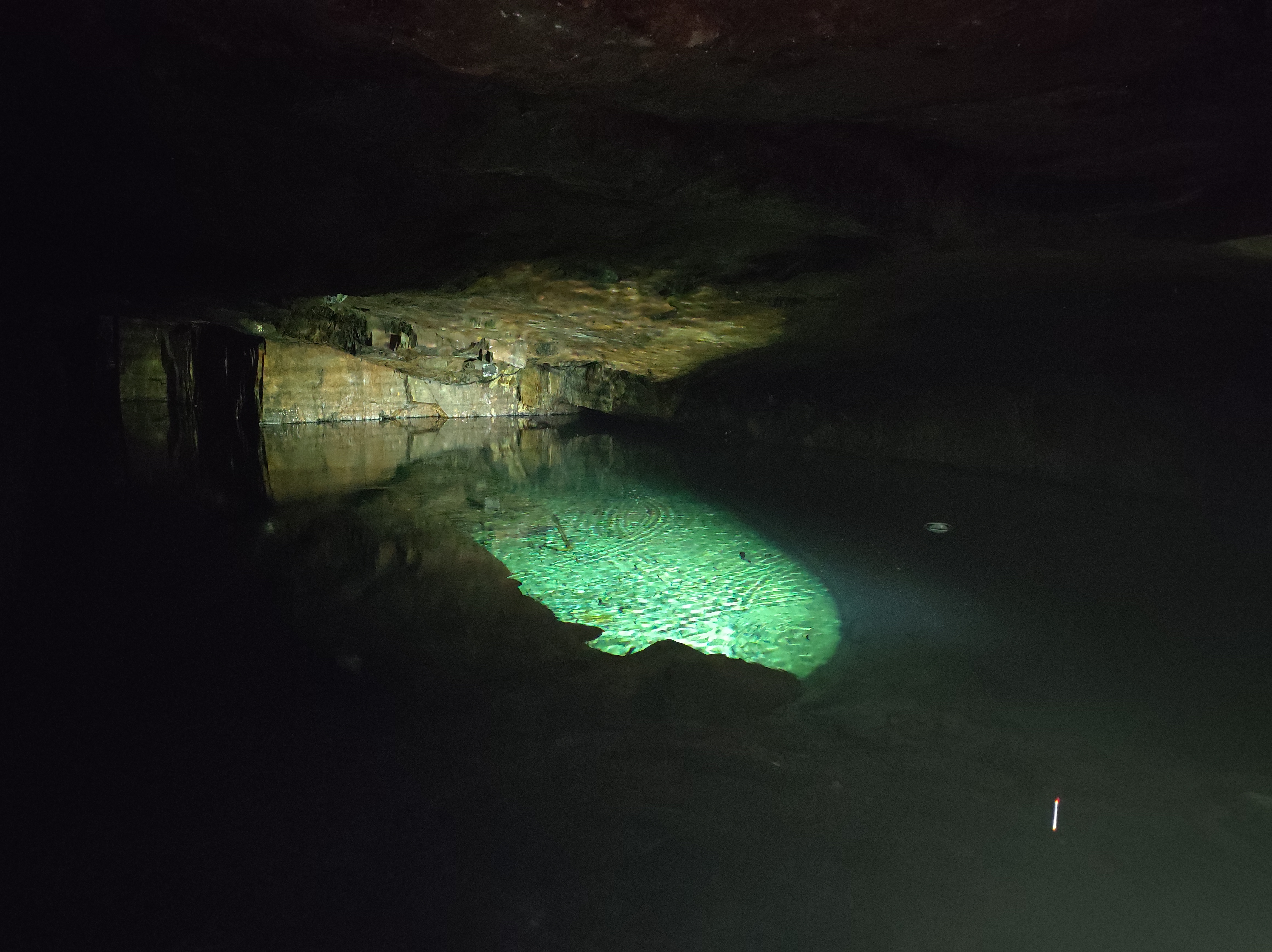 Photo n° 3 de l'avis de MANOLY.r fait le 04/09/2023 à 12:37