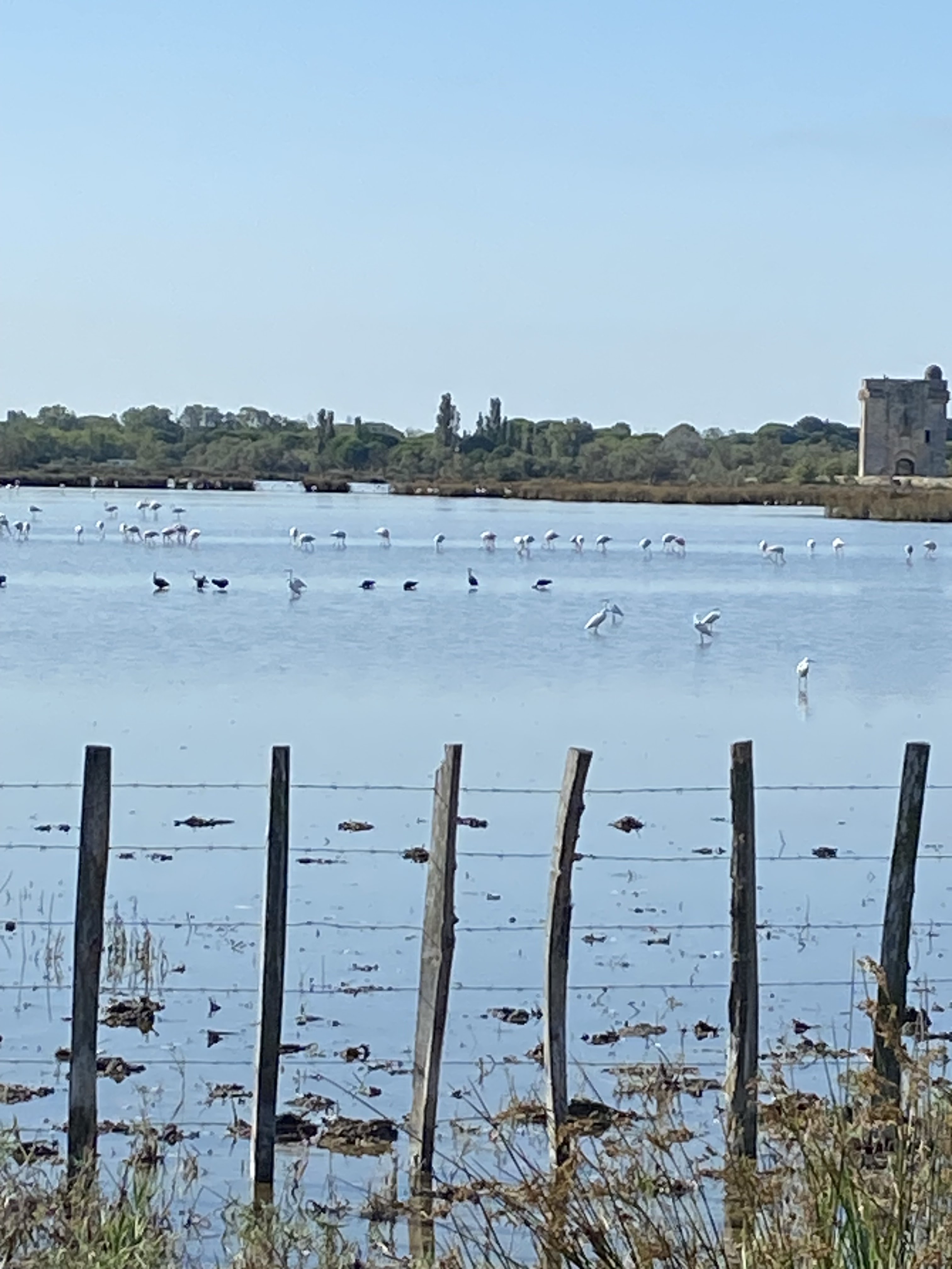 Photo n° 3 de l'avis de Etienne.o fait le 16/08/2023 à 11:42