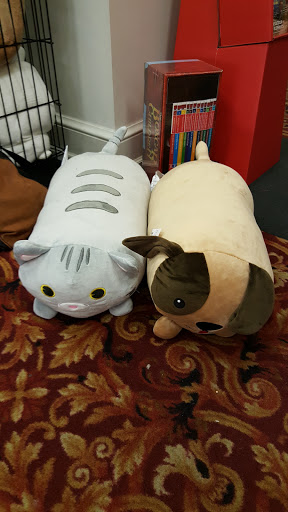 Book Store «Books&Co», reviews and photos, 4453 Walnut St, Beavercreek, OH 45440, USA