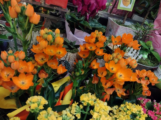 Grocery Store «Hannaford Supermarket», reviews and photos, 8 Market St, West Lebanon, NH 03784, USA