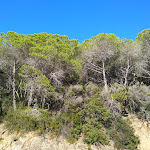 Photo n°12 de l'avis de ala.a fait le 13/09/2019 à 06:41 sur le  Hotel Paradiso - Island of Elba with sea view swimming pool à Portoferraio