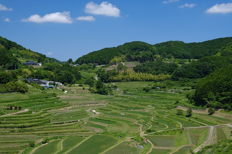 大垪和西の棚田