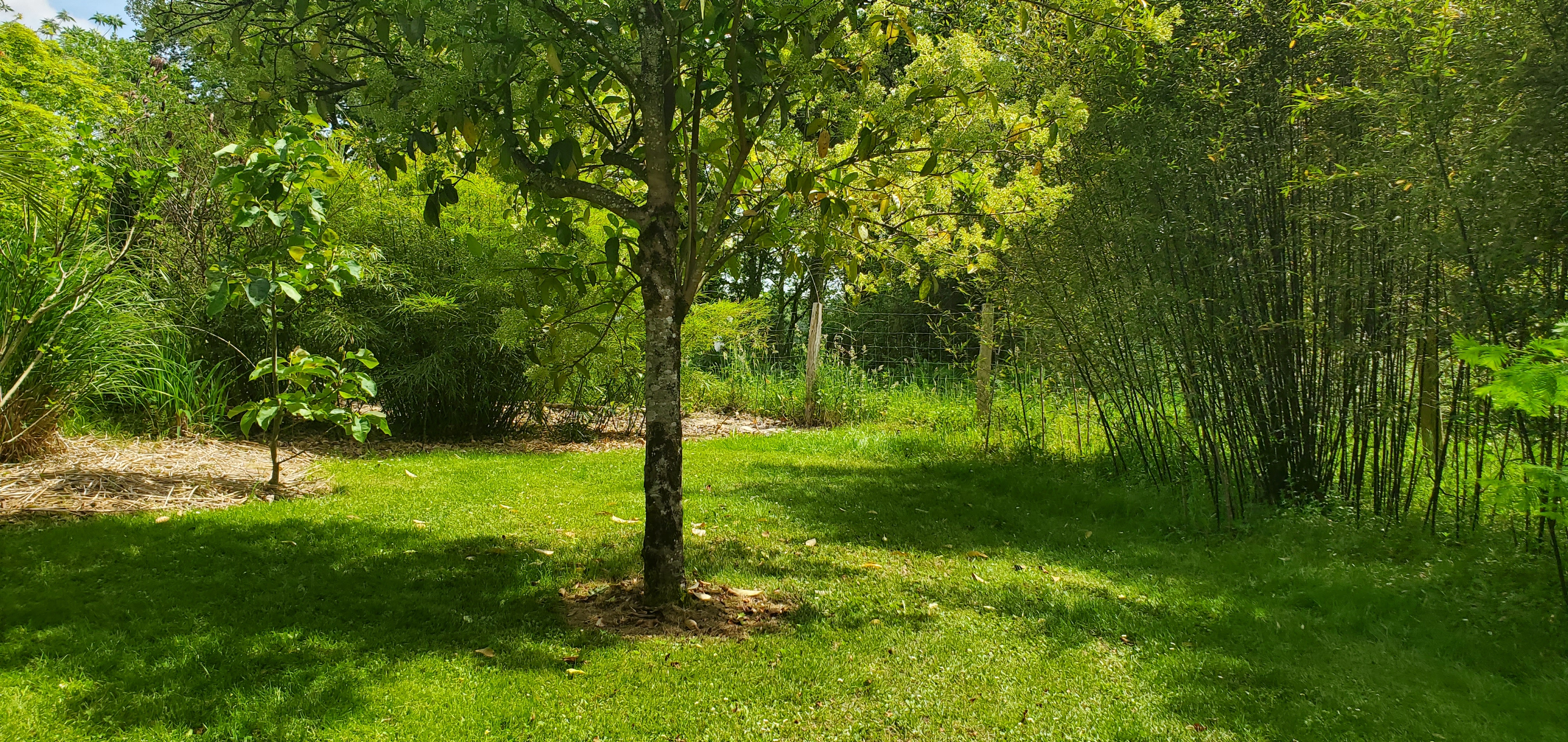 Photo n° 27 de l'avis de David.a fait le 06/05/2023 à 16:57