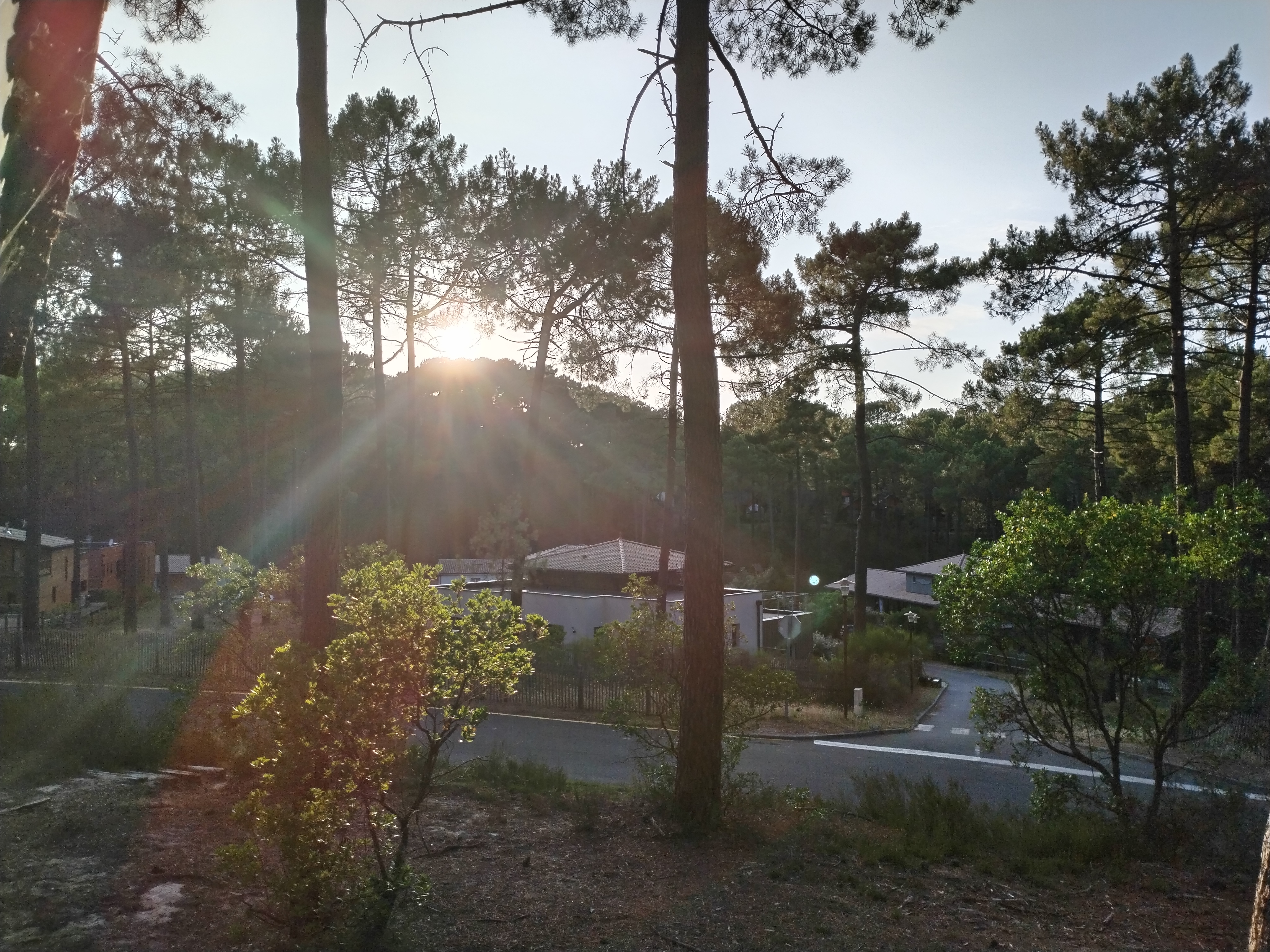 Photo n° 5 de l'avis de Vince.u fait le 29/07/2023 à 15:07