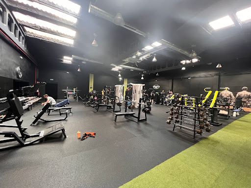 Templo Gym en San Andrés del Rabanedo, León
