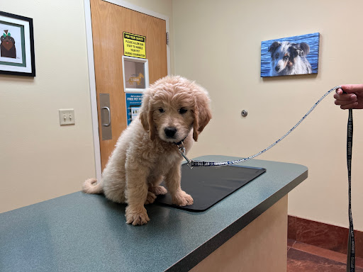 Green Summit Animal Clinic image