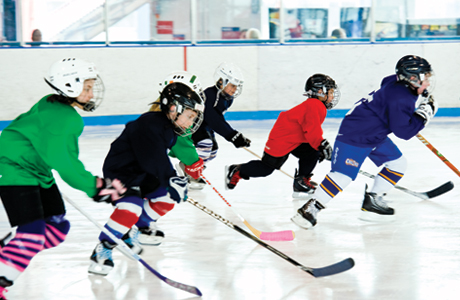 Ice Skating Rink «Klick Lewis Arena», reviews and photos, 101 Landings Dr, Annville, PA 17003, USA