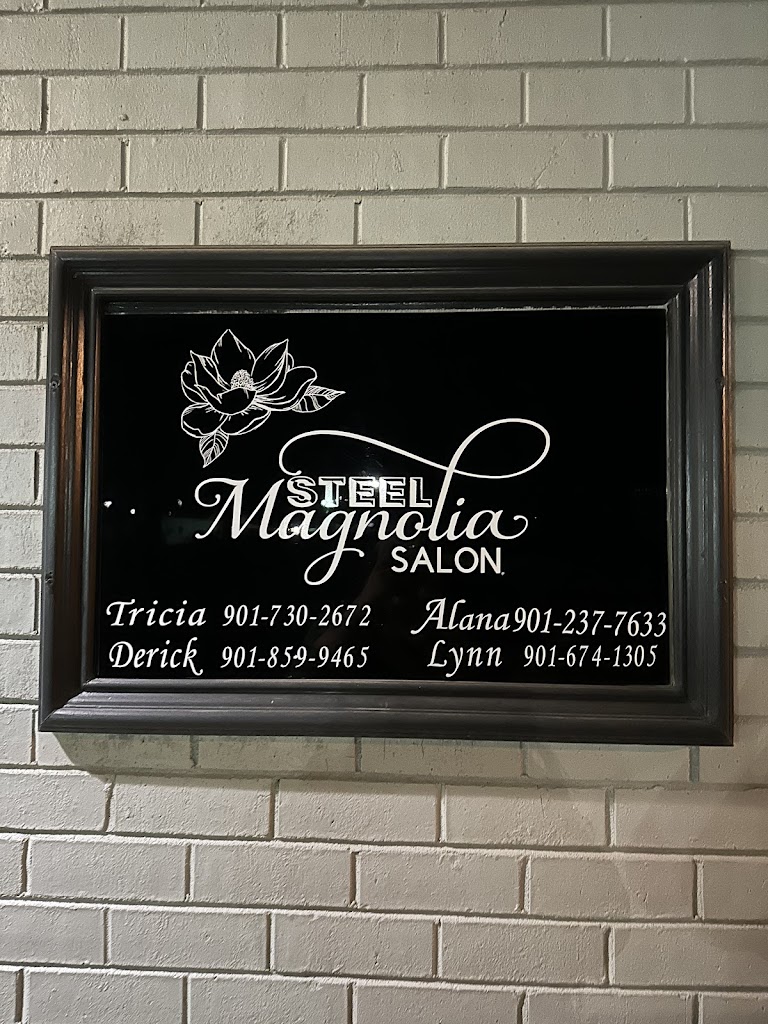 Steel Magnolia Salon 38018