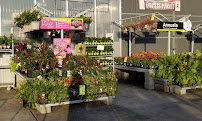 Garden Center at The Home Depot - Photo 4 - Car repair in League City, TX, League City