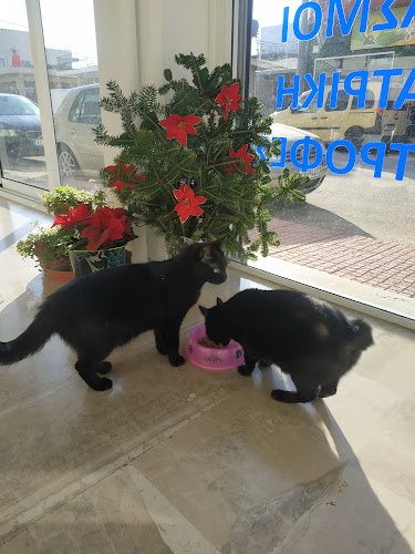 ΚΤΗΝΙΑΤΡΕΙΟ "OI.KO VET" - Κτηνίατρος