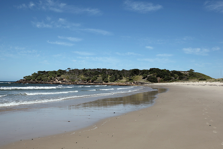 Fotografija New Zealand Beach divje območje