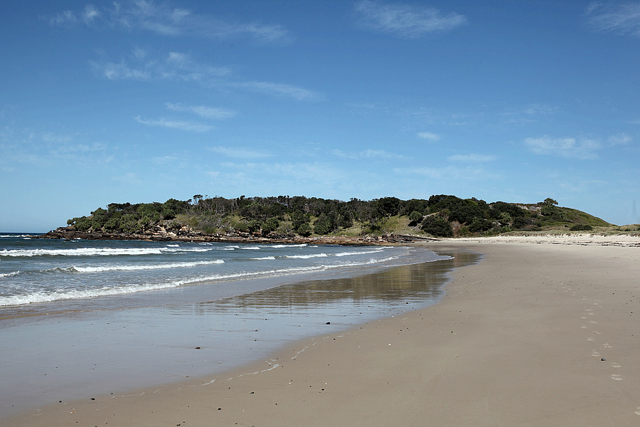 Foto von New Zealand Beach befindet sich in natürlicher umgebung