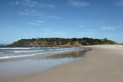 Foto von New Zealand Beach befindet sich in natürlicher umgebung