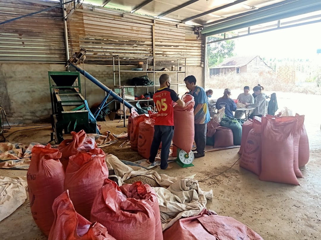 Hợp tác xã phát triển nông nghiệp công bằng Thanh Thái
