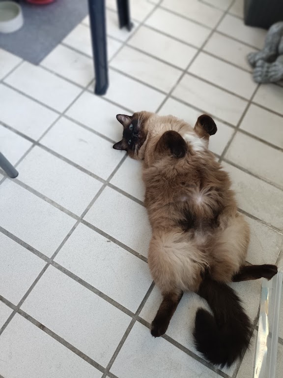 Tierarztpraxis Lücke