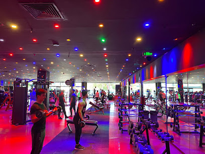 X Fitness Spor & Yaşam Merkezi