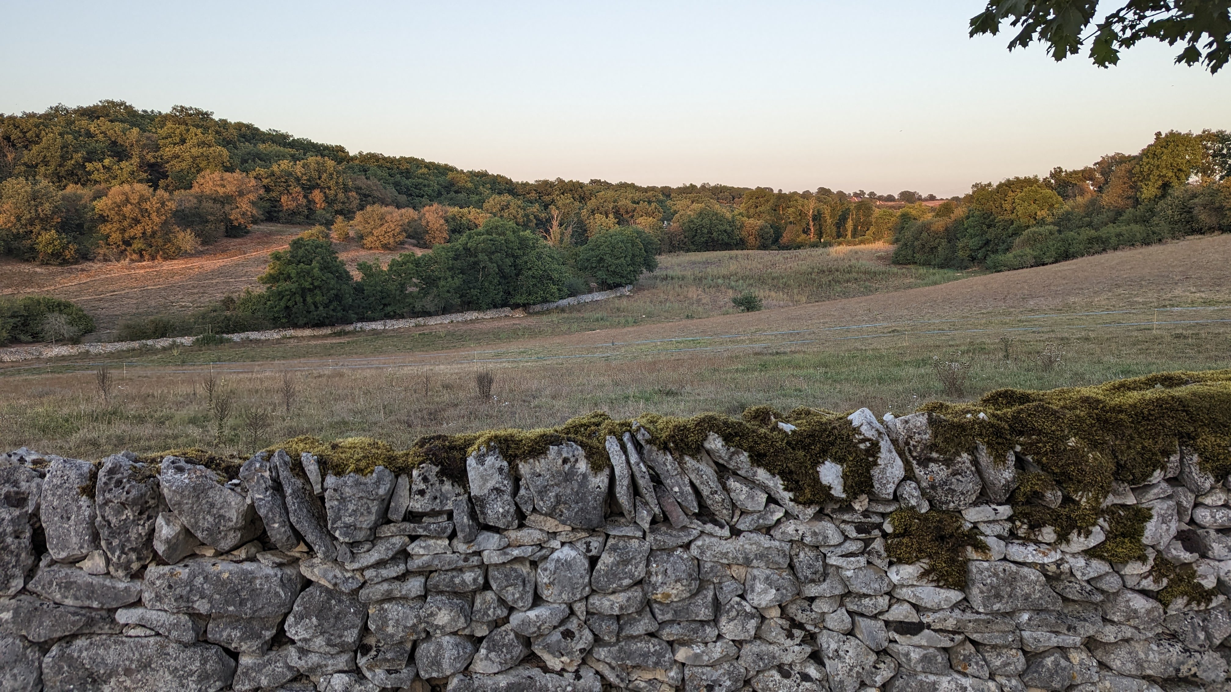 Photo n° 12 de l'avis de DELAFONTAINE.T fait le 25/08/2023 à 15:31