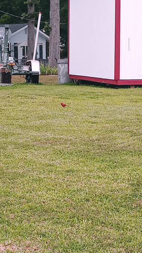 Public Golf Course «Aroostook Golf Course», reviews and photos, 1501 Dozier Rd, Montgomery, AL 36117, USA