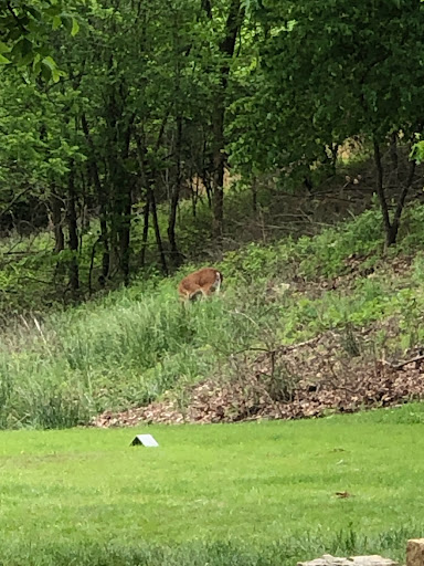 Golf Course «Sugar Creek Golf Course & Banquet Center», reviews and photos, 5224 Country Club Dr, High Ridge, MO 63049, USA