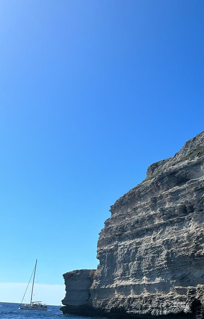 Photo n° 36 de l'avis de DESOLI.l fait le 12/09/2022 à 14:52