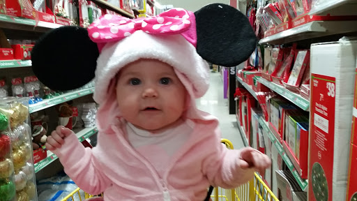 Discount Store «Dollar General», reviews and photos, 80270 Main St, Memphis, MI 48041, USA