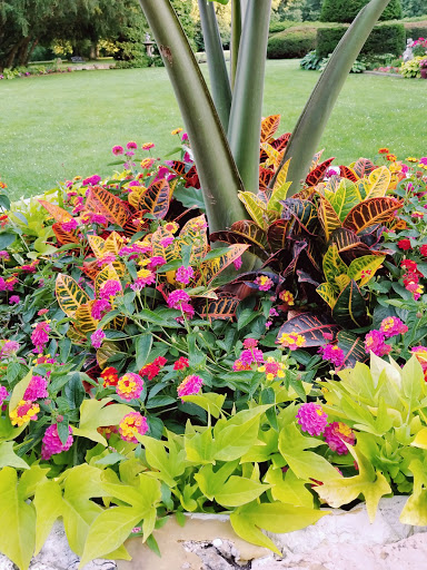 Nature Preserve «Muttontown Preserve», reviews and photos, Jericho-Oyster Bay Road, East Norwich, NY 11732, USA