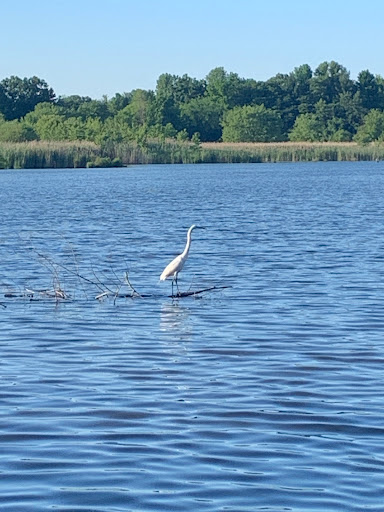 Nature Preserve «The Celery Farm», reviews and photos, Franklin Turnpike, Allendale, NJ 07401, USA