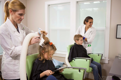 Lice Clinics of America - Milwaukee - Lice Treatments & Lice Removal