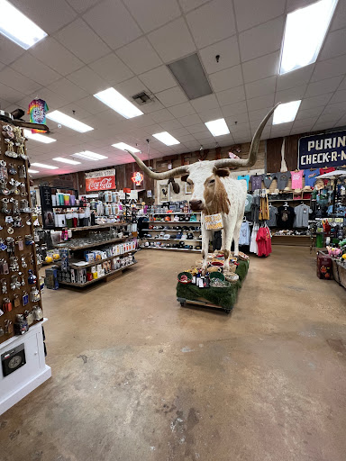 Gift Shop «Austin Gift Company», reviews and photos, 4211 S Lamar Blvd, Austin, TX 78704, USA