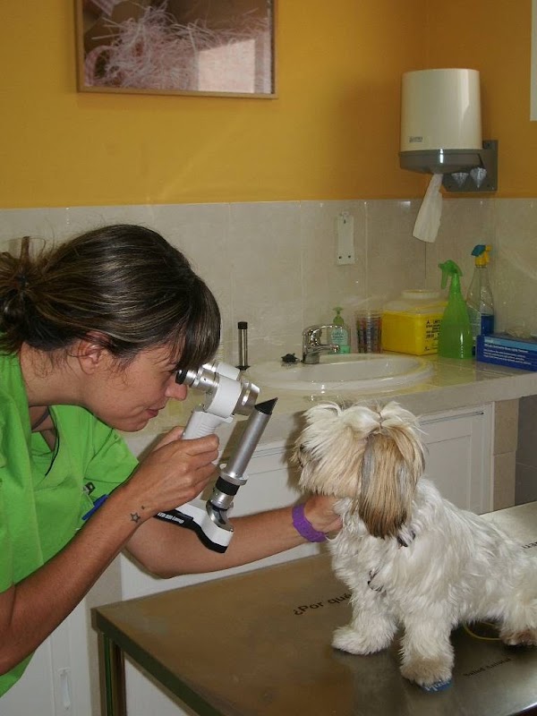 Imagen de Clínica Veterinaria Finestrat (3 de 6)