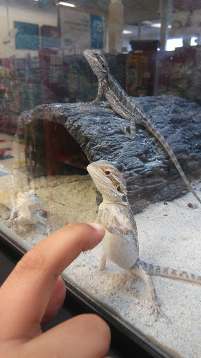 Pet Supply Store «Petco Animal Supplies», reviews and photos, 2373 W Ridge Rd, Greece, NY 14626, USA