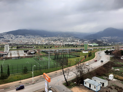 Veral Zeytin Yağı Fabr.