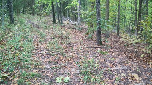 Nature Preserve «Engelmann Woods Natural Area», reviews and photos, 2360 Hwy D, Boles Township, MO 63304, USA