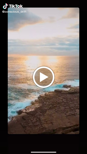 Grocery Store «Food Lion», reviews and photos, 2466 Centreville Rd, Centreville, MD 21617, USA