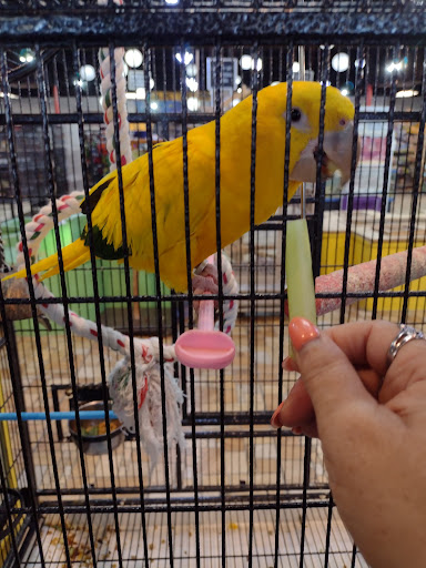 Pet Store «Exotic Tropical Petworld LLC.», reviews and photos, 1716 W Hackberry Ave, McAllen, TX 78501, USA