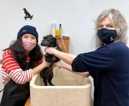 Pet Supply Store «Pet Wants», reviews and photos, 9486 S Union Square, Sandy, UT 84070, USA