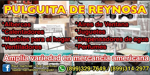 Pulguita De Reynosa 2