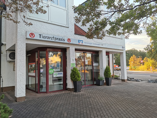 Tierarztpraxis Dr. med. vet. Stephanie Gehb unter Babenhausen, 