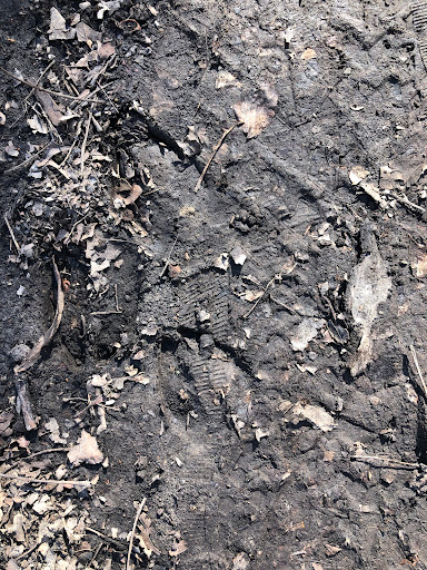 Nature Preserve «Meltzer Woods», reviews and photos, 1522 S 600 E, Shelbyville, IN 46176, USA